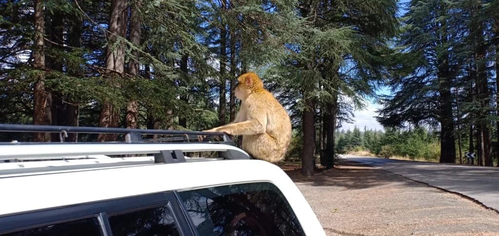 Circuit Privé de Désert 8 Jours au Départ de Marrakech